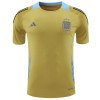 Original Fußballtrikot Argentinien Pre-Match 2024 Gelbe Für Herren